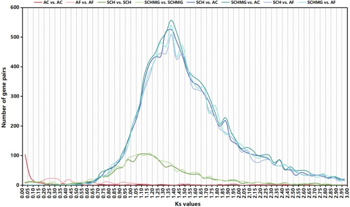 FIGURE 2