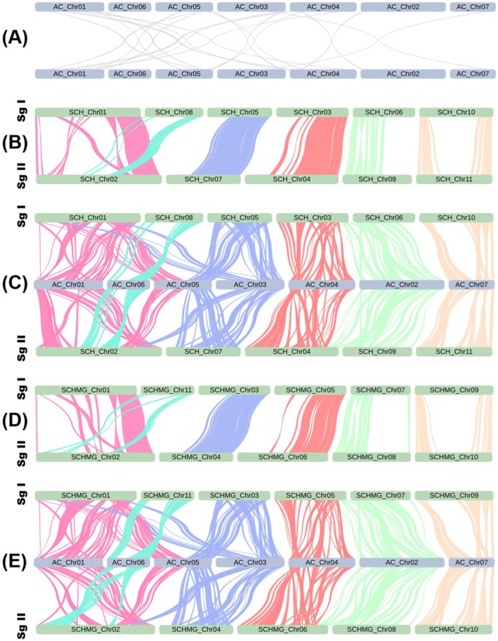 FIGURE 3