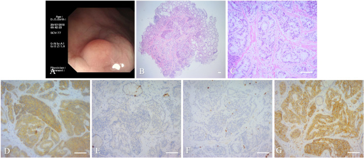 Figure 1