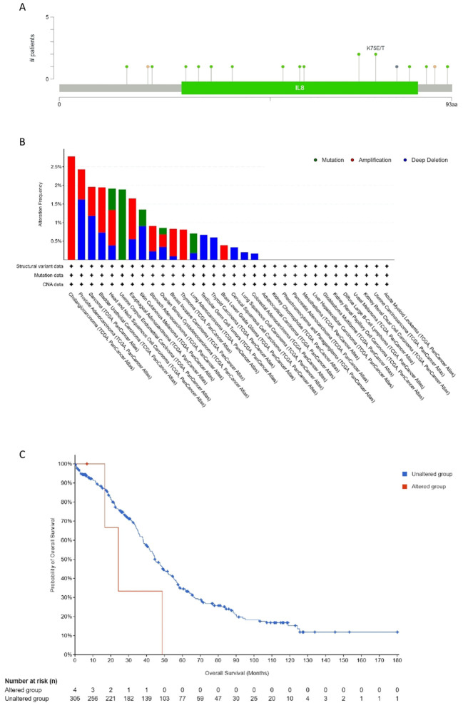 Figure 10