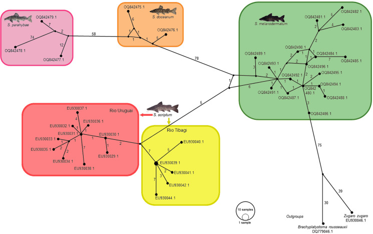 Figure 2