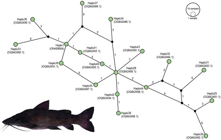 Figure 5