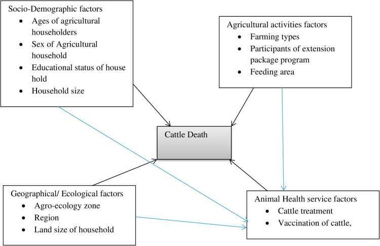 Figure 31