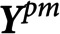 Figure 45