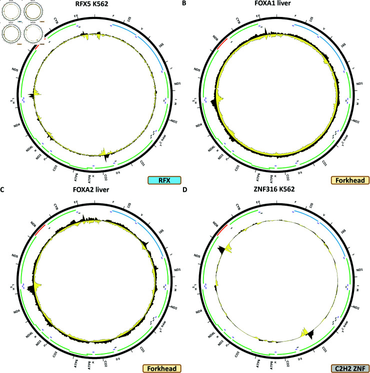 Figure 8
