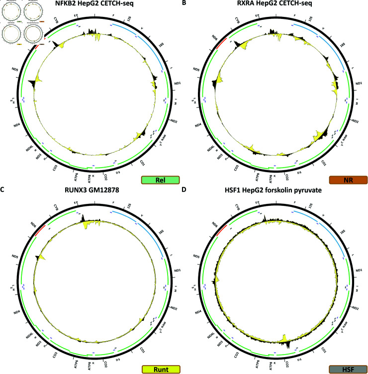 Figure 12