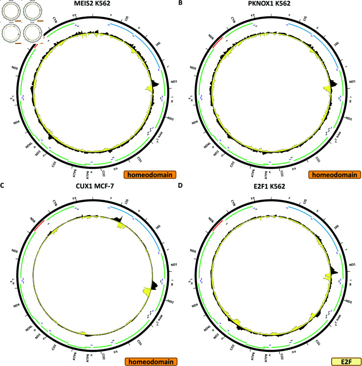 Figure 13