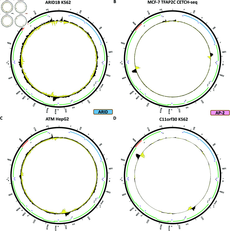 Figure 14