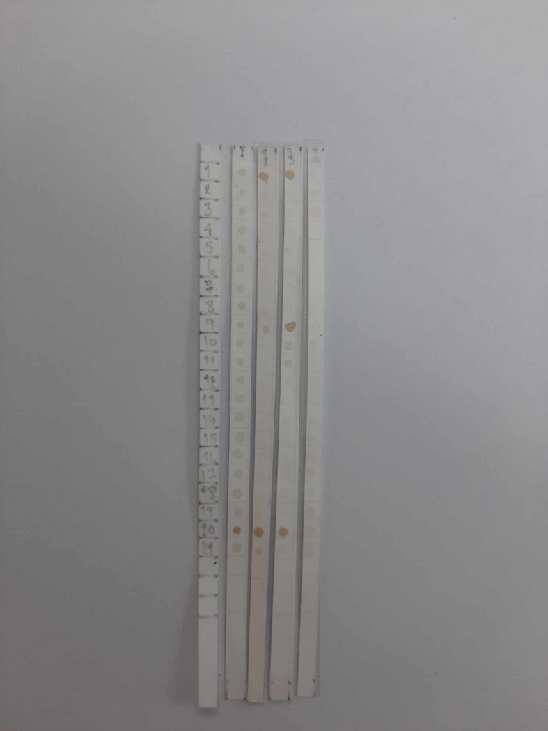 Figure 9