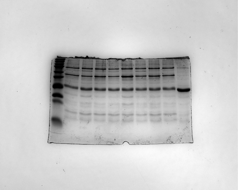Figure 17