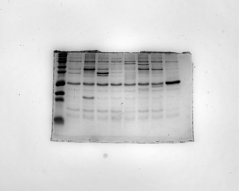 Figure 18
