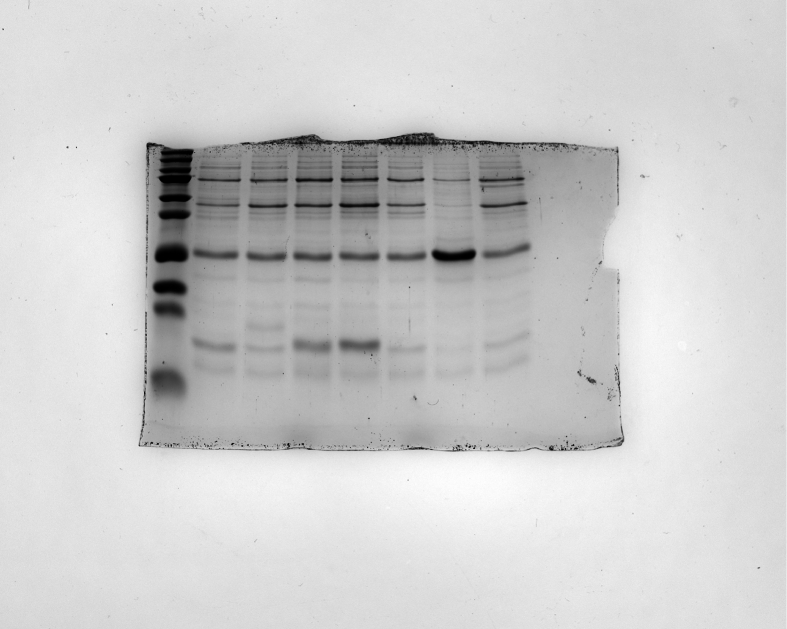 Figure 19