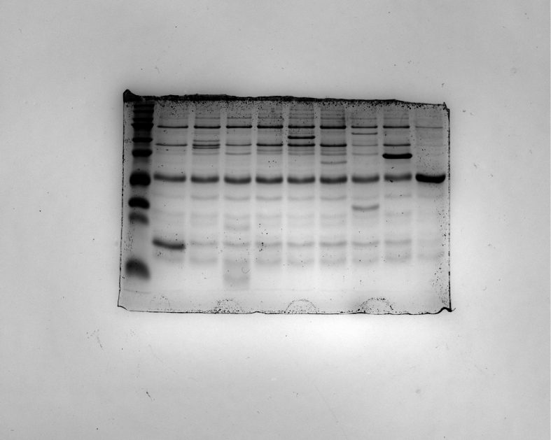 Figure 20