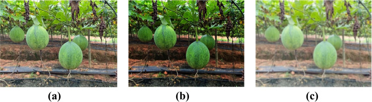Figure 15