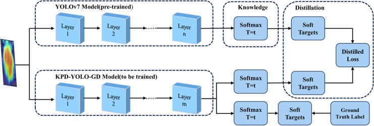 Figure 24