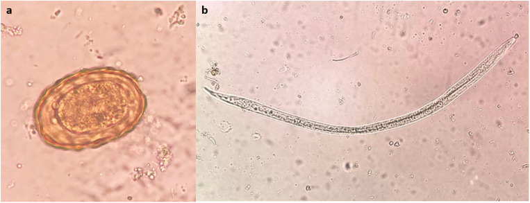 Fig 6