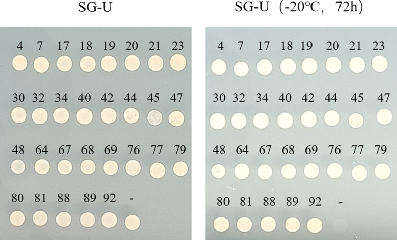 Fig 6