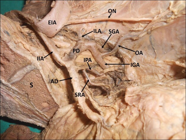 Figure 5