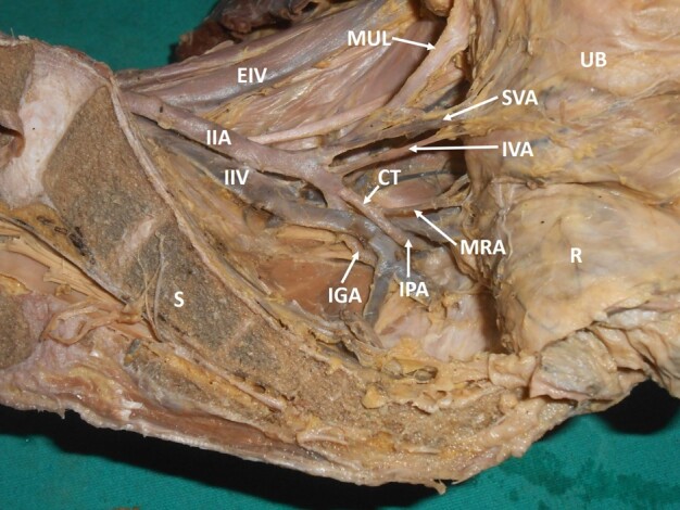 Figure 6