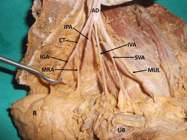 Figure 7