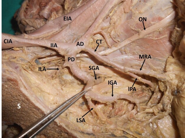 Figure 8