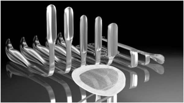 FIGURE 2