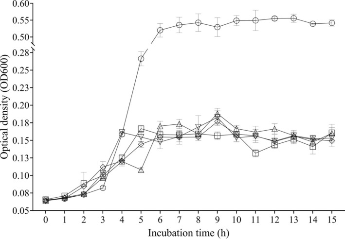 FIGURE 2