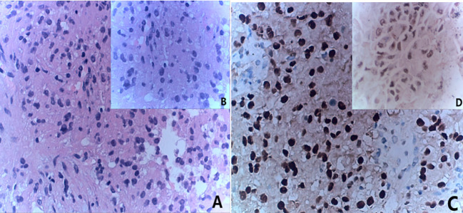 Figure 3