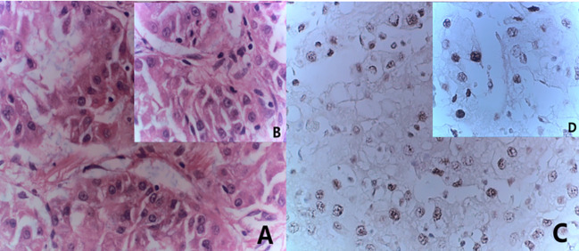 Figure 5