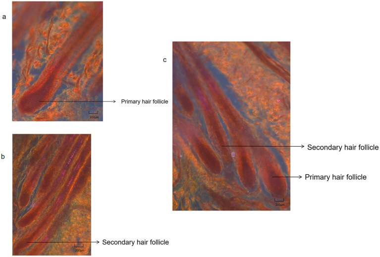 Figure 7
