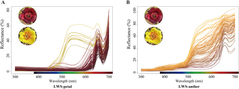 Figure 5