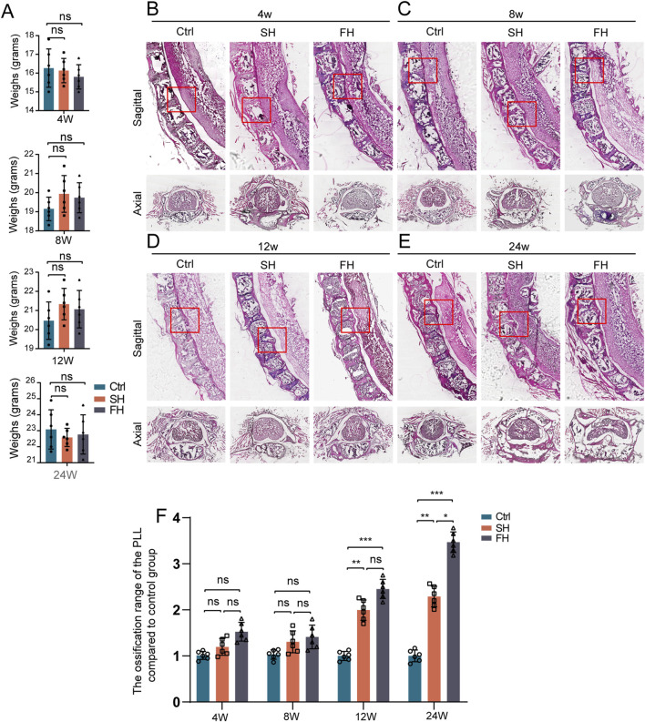 FIGURE 3