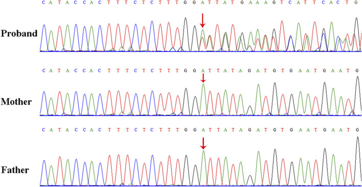 FIGURE 2