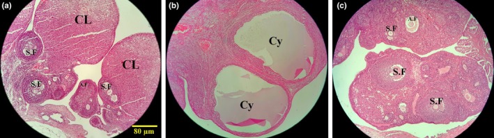 FIGURE 4