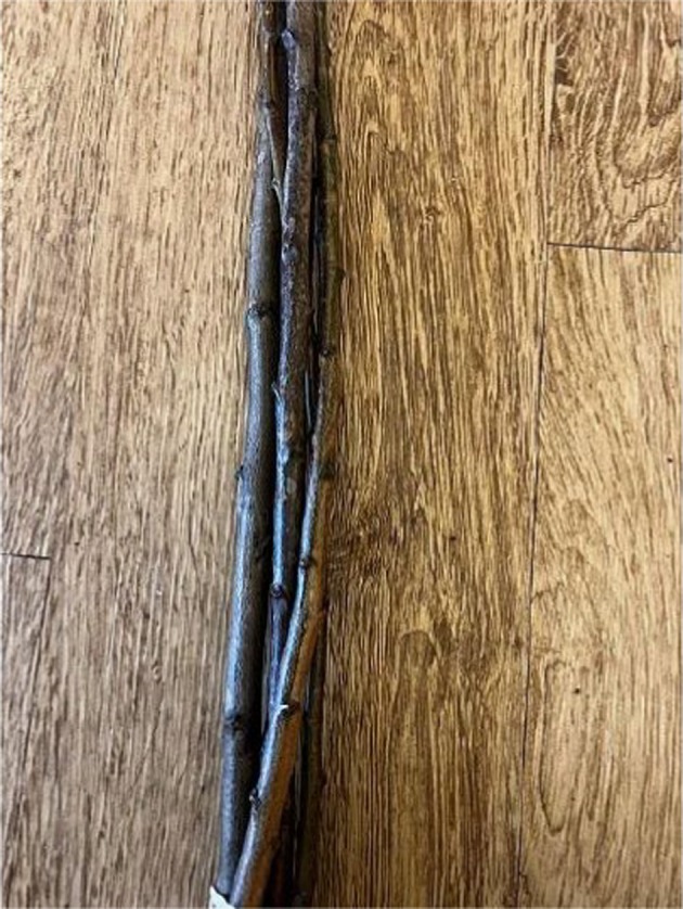 FIGURE 9