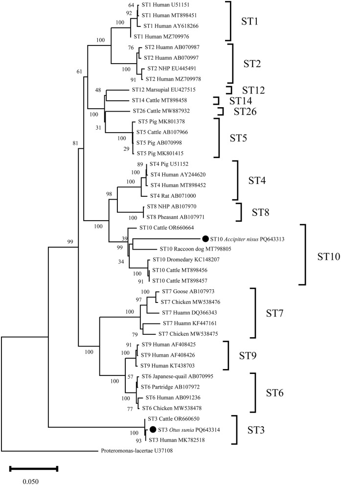 Figure 2