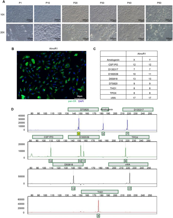 FIGURE 2