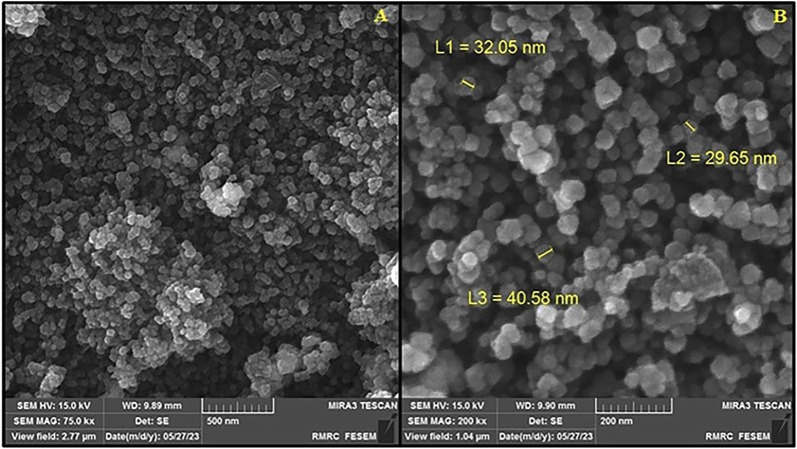 FIGURE 2