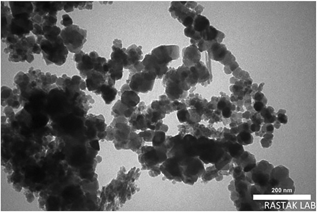 FIGURE 3