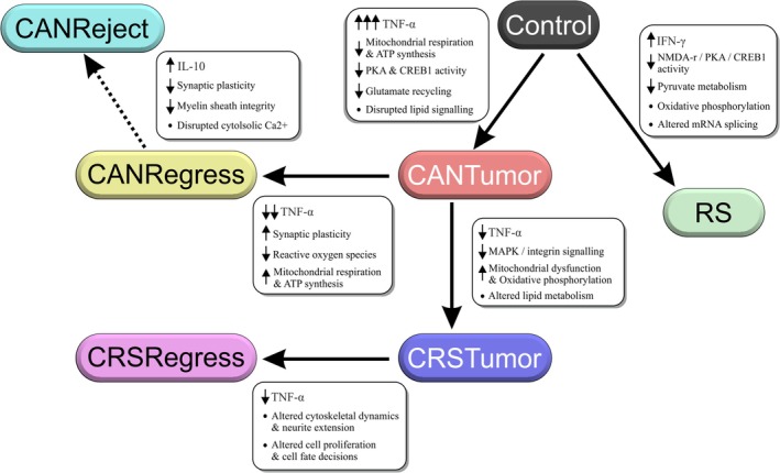 FIGURE 13