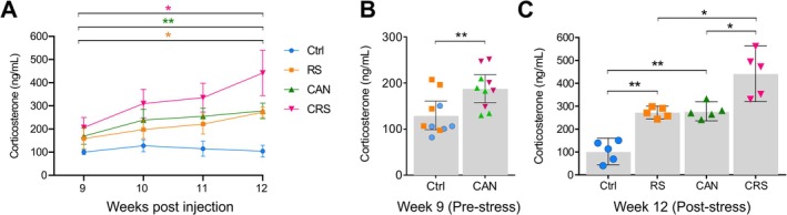 FIGURE 2