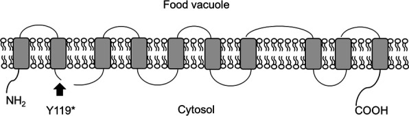 Fig 2