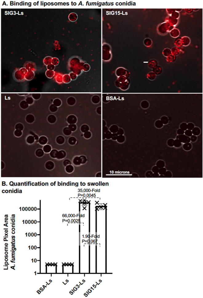 Fig 4