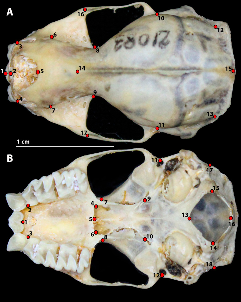 Fig 1