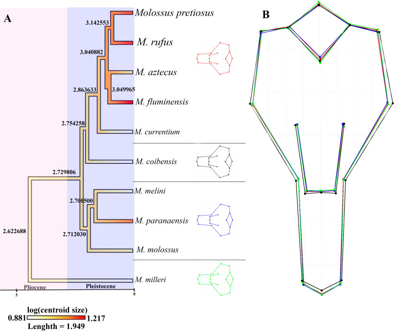 Fig 8