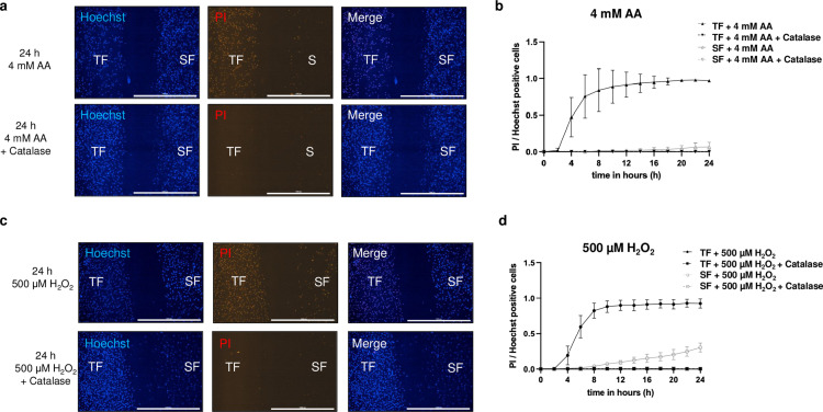 Fig 4