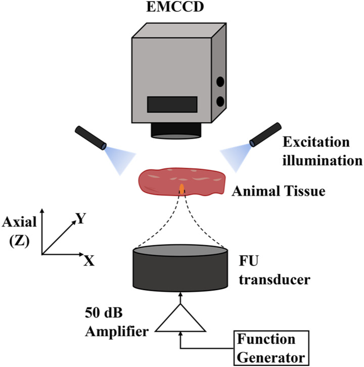 FIG. 1