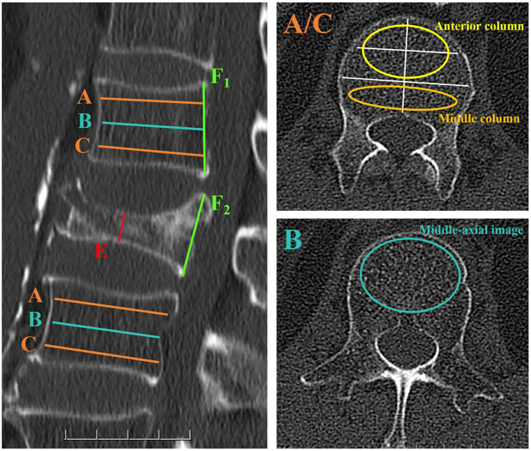 Figure 1