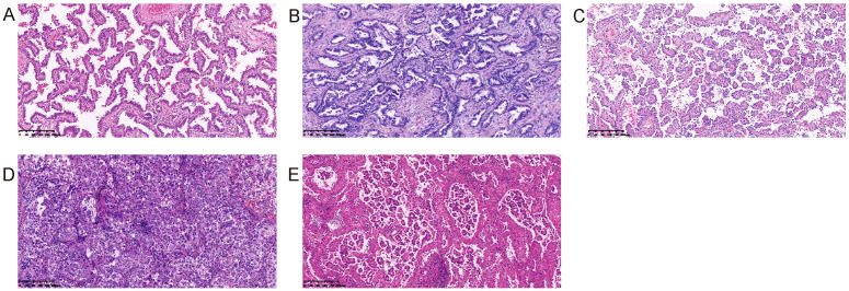 Figure 2