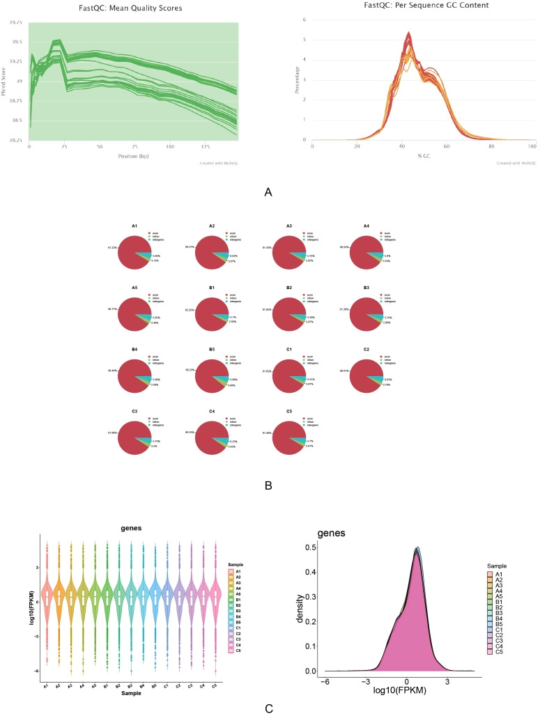 Figure 2